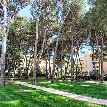 Mimosa By Interhome Appartement Six-Fours-les-Plages